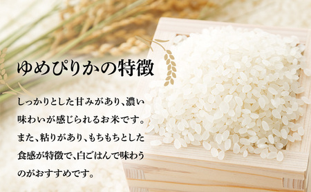 【12ヶ月定期便】北海道南るもい産【ゆめぴりか】（白米）5kg×2袋