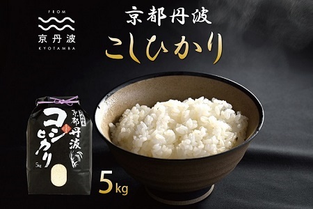 京丹波こしひかり 5kg 令和6年産 新米 京都 精米 コシヒカリ ※北海道・沖縄・その他離島は配送不可 [010MB001]