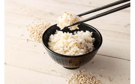 五穀米(黒・白)＆もち麦セット 1.3kg  国産 五穀米 もち麦 健康 熊本県 水上村 【2025年11月上旬より順次発送開始】