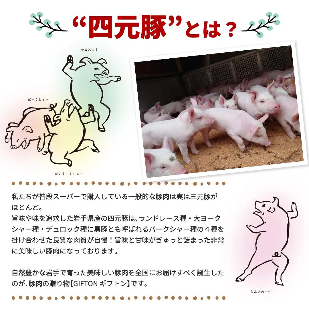12ヶ月定期便 四元豚 おまかせカット肉 ＆ ひき肉 セット 約1.25kg  焼肉 ギフト 精肉 バラエティセット 豚肉 ロース バラ 肩ロース モモ ひき肉 セット 冷凍 お歳暮 おせち GIFT