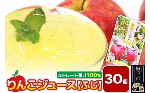 りんごジュース【ふじ】30個