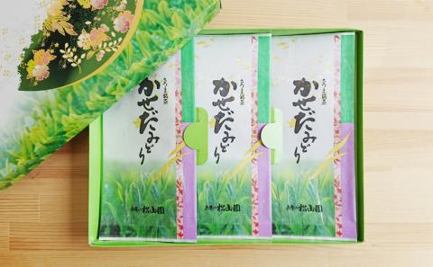 【鹿児島県産緑茶】かせだみどり（80g×3袋）ギフト 贈答 鹿児島県産 かごしま お茶 日本茶 緑茶 茶葉 南さつま市 お茶の松山園