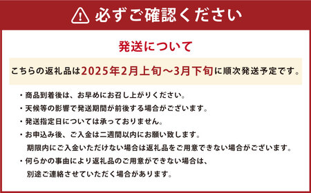 【規格外品】はるか ご家庭用 10kg サイズ不選別 サラダみかん 柑橘 ミカン 果物【2025年2月上旬～3月下旬発送予定】