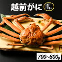 【ふるさと納税】先行予約【市場直送】冬の王者！茹で越前がに700-800g　1杯【11月中旬より順次発送】 [I-065039] / かに 蟹 ずわい ズワイ 茹でがに 送料無料