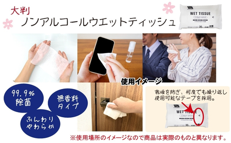 大判ウエットティッシュ（ノンアルコールタイプ）20枚入り×4個＆【新生児から使える】大判 赤ちゃんのおしりふき60枚入×2個〈KA-166M〉