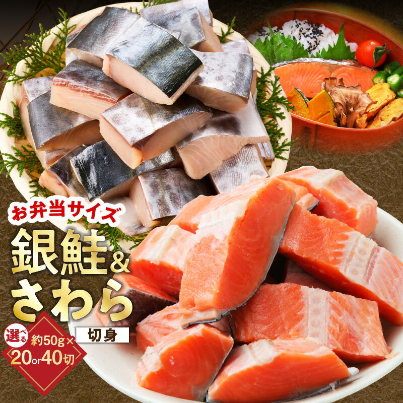 【ふるさと納税】【訳あり】 サワラ 銀鮭 切り身 合計 1kg / 2kg 小分け 個包装 食べ比べ セット 詰め合わせ 漁師 手切り さけ 魚 塩焼き 焼き魚 焼き魚セット 弁当 朝食 時短 時短調理 サイズ不揃い 規格外 自宅用 冷凍 冷凍食品 大阪府 泉佐野市 送料無料