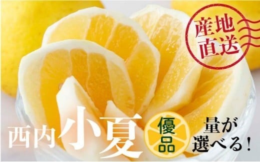 
                  量が選べる 【先行予約】＜優品＞西内小夏　2･5･10kg　N53 N54 N55
                