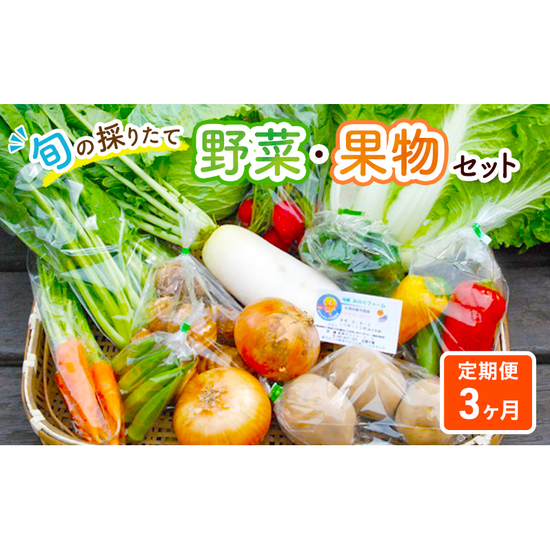 野菜セット 定期便 3ヶ月 旬の採りたて 野菜 フルーツ 詰め合わせ セット 野菜定期便 野菜詰め合わせ フルーツ詰め合わせ フルーツセット 季節の野菜 季節の果物 くだもの 果物 果樹 神奈川 定期 お楽しみ 3回