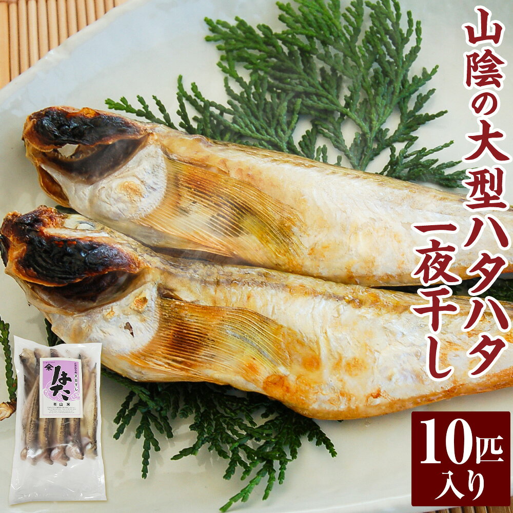 【ふるさと納税】山陰の大型ハタハタ一夜干し 10匹入り ハタハタ はたはた 干物 干しハタ 一夜干し 干し物 魚介 海鮮 山陰 国産 冷凍 お取り寄せ【配送不可地域：離島】【1075782】 兵庫県 新温泉町 送料無料