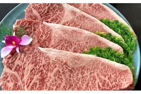 肉質４等級以上！おおいた和牛の黒毛和牛サーロインステーキ（計６４０ｇ）