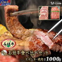 【ふるさと納税】石垣牛ステーキ＋焼肉セット 合計1kg AB-9