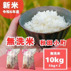 【令和6年産 】【無洗米】奈良県産 あきたこまち 10kg ( 5kg×2 )【1556531】