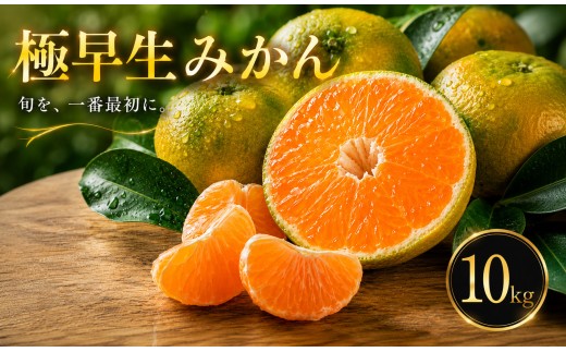 【待望の新登場】 秋の先取り 【極早生みかん】 10kg 愛媛県産 【2026年10月上旬頃から順次発送】 | 温州みかん ミカン ごくわせ mikan みかん 蜜柑 訳ありフルーツ 柑橘 果物 おすすめ お勧め お取り寄せ ギフト 愛媛県 松山市
