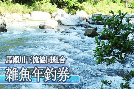 【令和7年】馬瀬川下流!! 雑魚年釣券  (2月22日(土)解禁) 渓流釣り 年券 アマゴ イワナ あまご いわな 2025年【26-5】