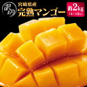 【ふるさと納税】「訳あり」完熟マンゴー 約2kg（4～10玉）宮崎県産 果物 フルーツ 先行予約