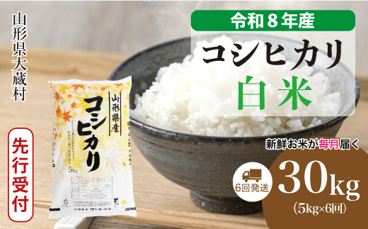 ＜令和8年産米先行受付＞ 令和9年4月上旬より発送  こしひかり【白米】30kg定期便 (5kg×6回） 山形県大蔵村