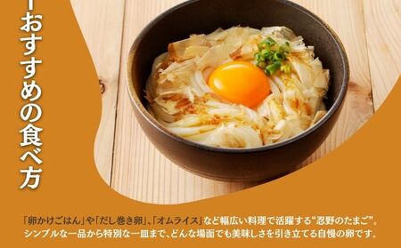 富士山の恵“忍野のたまご“‐コクの赤玉‐50個入