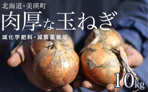 【先行予約】 <令和8年産 >本山農場 の玉ねぎ 10kg｜北海道 美瑛 たまねぎ 玉葱 野菜 送料無料 玉ネギ タマネギ オニオン 10kg スライス サラダ ハンバーグ 肉じゃが 味噌汁 焼き肉 バーベキュー BBQ スープ 国産 新鮮 [0105-02]