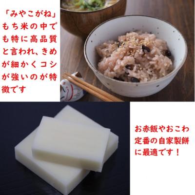 ふるさと納税 村田町 令和6年産 もち米みやこがね 精米5kg(5kg×1袋) 宮城県村田町産 |  | 01