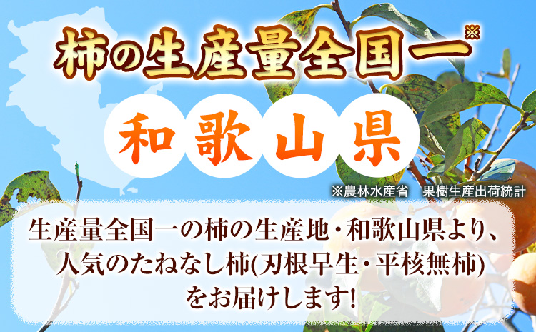 【秋の味覚】＜先行予約＞ 和歌山 産 の たねなし 柿  ご家庭用 約 7.5kg 厳選館 《2026年9月上旬-11月上旬頃出荷》 和歌山県 日高川町 柿 カキ かき ジューシー フルーツ たねなし