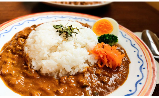 
素材にこだわった！ なす キーマ カレー（ 黒潮町産 天日塩 使用） 5食 セット〔冷凍〕 スパイス ［1611］
