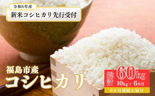 No.1498【令和6年産 新米先行受付】大文字屋米穀店【定期便6回】コシヒカリ 10kg（5kg×2）精米 （6か月連続お届け）