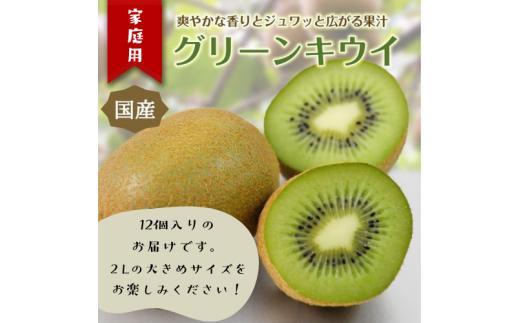 東伊豆・佐藤農園のキウイ　家庭用　12個入（2Lサイズ） 1397 ／ 佐藤農園 果物 フルーツ 農家直送 静岡県 東伊豆町