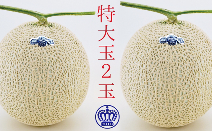 12月発送クラウンメロン（白級）特大玉 2玉　箱入り