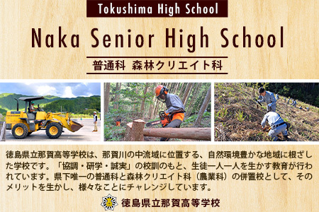 「木頭杉の積み木セット」徳島県立那賀高等学校 森林クリエイト科制作【徳島県 徳島 那賀町 高校生制作 積木 積み木 知育 木育 玩具 おもちゃ 知育玩具 木の積み木 幼児 教育 木頭杉 杉 天然木 木