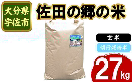 
            ＜新米・令和7年産＞佐田の郷の米 玄米 慣行栽培米(27kg)お米 玄米 ごはん ヒノヒカリ ひのひかり ブランド米 常温 常温保存【111700903】【雅設置プロジェクト　佐田の郷の会】
          