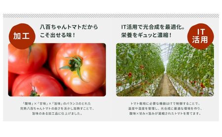 【定期便・全5回】トマト農家の本格パスタソース ガーリック味 120g 2本セット × 5回｜国産 姫路市産 完熟八百ちゃんトマト 万能調味料