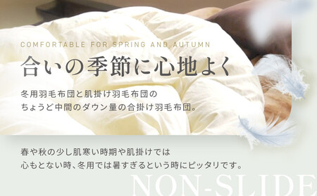 【大東寝具】～快眠のための最高級羽毛布団～　≪春秋用≫大東寝具オリジナルプレミアム　合掛け羽毛布団　オズゴ　ポーランド産　ホワイトグースダウン95％　（コウダ種）（シングル）