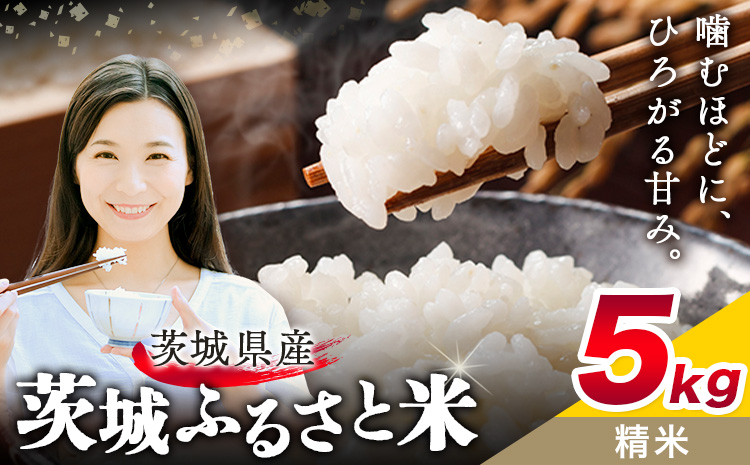 米 茨城 ふるさと米 精米 5kg 5kg×1袋《9月中旬-10月末頃出荷》茨城県 結城市 米 国産 お米 おこめ お弁当 おにぎり【茨城県共通返礼品】---yuki_local_19_5kg---