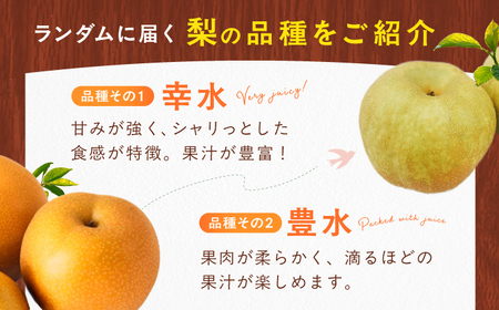 【★先行予約★　8月下旬発送開始】フルーツ詰合せ（シャインマスカット3パック＆梨3個）　広川町 / JAふくおか八女農産物直売所どろや[AFAB088]