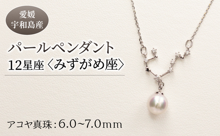 パール ペンダント 12星座 6.0-7.0mm 土居真珠 みずがめ座 星座 真珠 アクセサリー ネックレス パールネックレス アコヤ真珠 本真珠 ファッション カジュアル 冠婚葬祭 慶事 結婚式 卒業式 入学式 お祝い ギフト 贈り物 特産品 国産 愛媛 宇和島 A058-012011