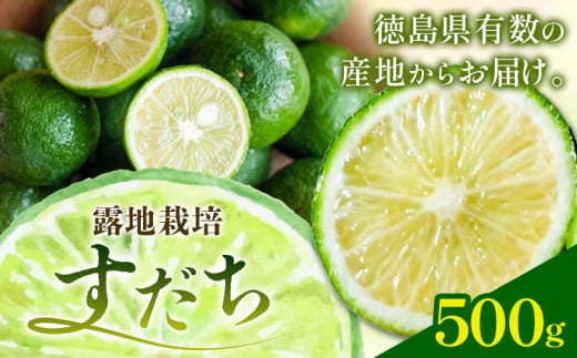 佐那河内名産 露地栽培 すだち 500g 露地すだち スダチ 《8月下旬-10月末頃出荷》徳島県 佐那河内村 送料無料 スダチ 露地 魚 豆腐 冷奴 焼き魚 天ぷら 刺身 上質 徳島県産