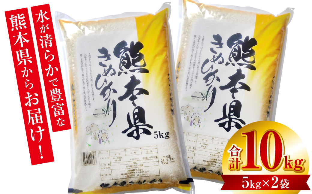 【令和7年産】 熊本県産 きぬひかり 10kg（5kg×2袋） 米 お米 精米 白米 ごはん ご飯 熊本