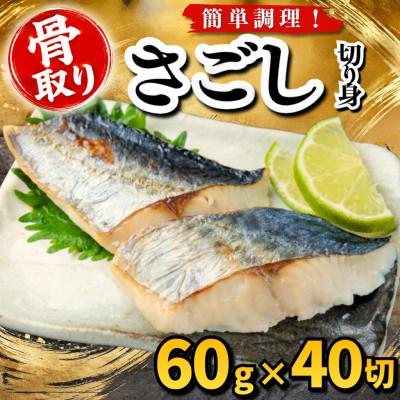 ふるさと納税 羽島市 【骨取り】さごし　切り身　60g×40切　学校給食使用