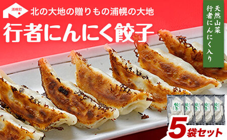 北海道産 行者にんにく 餃子 1.1kg (220g×5) 小分け 浦幌町