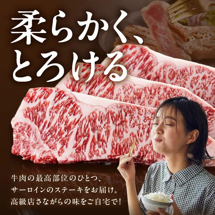 宮崎牛サーロインステーキ200g×3枚〔AD-2603〕_(都城市) 宮崎牛 牛 サーロイン ステーキ 200g×3枚 600g