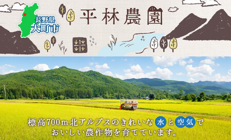 ＜先行予約＞令和7年産 つきあかり 白米 10kg×1袋 長野県産 米 精米 お米 ごはん ライス 甘み 農家直送 産直 信州 人気 ギフト お取り寄せ 平林農園 送料無料 長野県 大町市