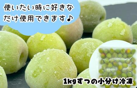 【2025年7月上旬～出荷予定】梅 冷凍 青梅 南高梅 3kg ( 1kg × 3袋 ) 秀品 2L or Lサイズ 和歌山県産 紀州有田  【みかんの会】
