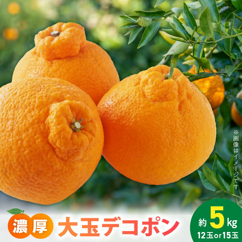 【ふるさと納税】【2026年先行予約】【限定】 デコポン 約 5kg 大玉 12玉 15玉 おまかせ 不知火 濃厚 甘味 ほどよい 酸味 バランス 抜群 味わい 大人気 有田産 厳選 フルーツ 果物 柑橘 果実 国産 食品 食べ物 おやつ デザート お取り寄せ フルーツ 和歌山県 湯浅町 送料無料