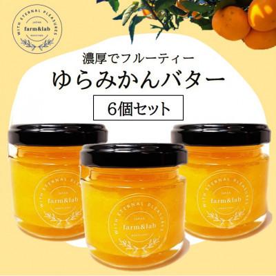 ふるさと納税 美浜町 みかんの爽やかさとクリーミーなバターが絶妙にマッチ『ゆらみかんバター』 6個セット