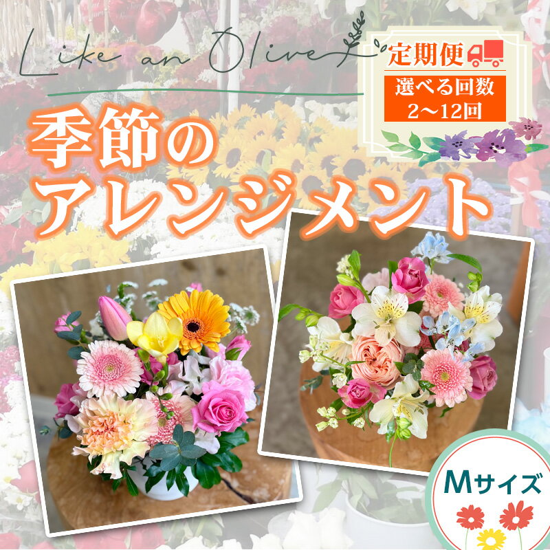 【ふるさと納税】【定期便】季節のアレンジメント【M】　（毎月定期便）　【選べる回数：2～12カ月】　【フラワーアレンジメント アレンジメント 季節の花 生花 花 植物 ブーケ ギフト プレゼント インテリア お楽しみ 】
