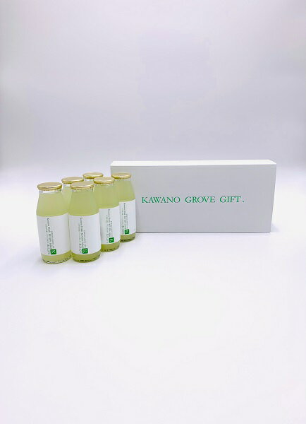 【ふるさと納税】高知県土佐市産 Konatsu Drink KD 20％ 160ml (6本入)【川野果樹園】[BQCB001]