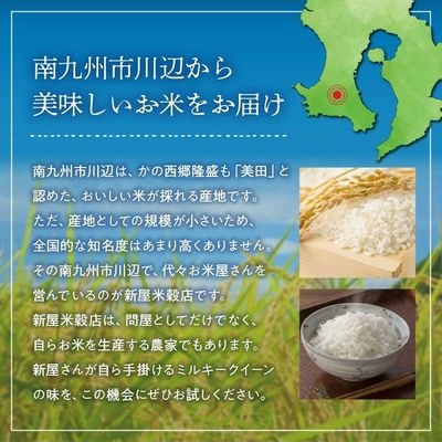 【令和8年度産新米】鹿児島県産ミルキークイーン5kg　特別栽培米