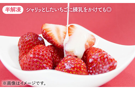 【R8年5月以降発送】【贅沢赤白食べ比べ】白石産冷凍いちご（さがほのか・パールホワイト）750g / 冷凍 苺 希少 赤いちご 白いちご 紅白いちご 甘い 食べ比べ 佐賀県産 ブランドいちご 真っ白 