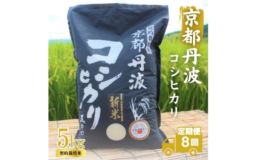 [№5334-0690]【8カ月定期便】令和7年産 京都丹波産 こしひかり 5kg 合計40kg