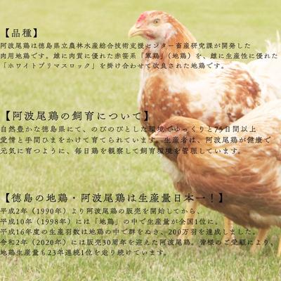 ふるさと納税 美波町 AWAODORILAB3種15食 |  | 02